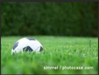 Hertha BSC - Heimspiele