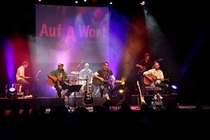 Best of S.T.S. & Austropop