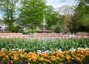 Gärtnerische Führung