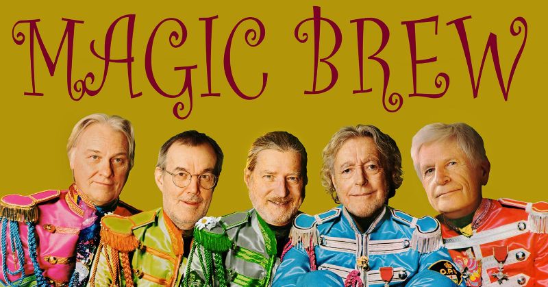 Magic Brew & Friends