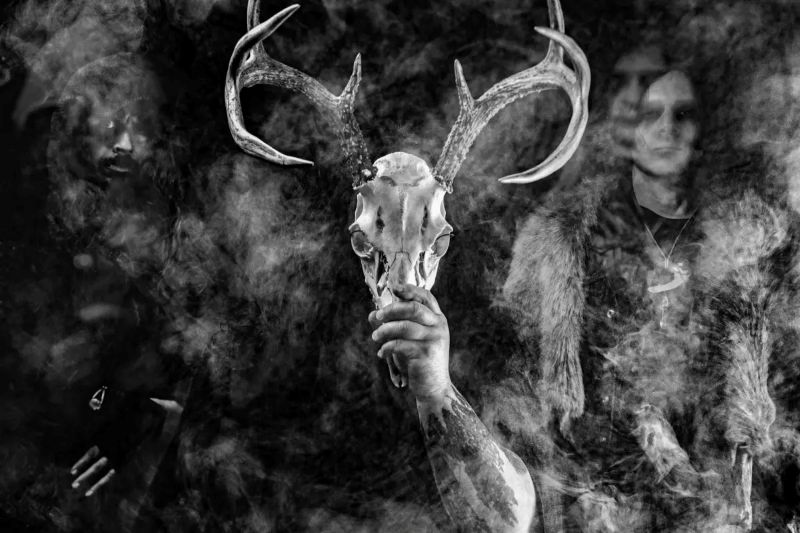 Wolves in the Throne Room