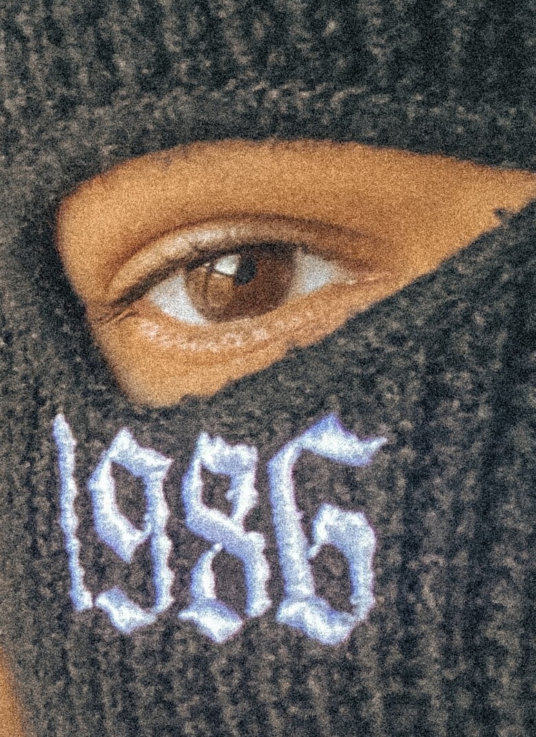 1986zig