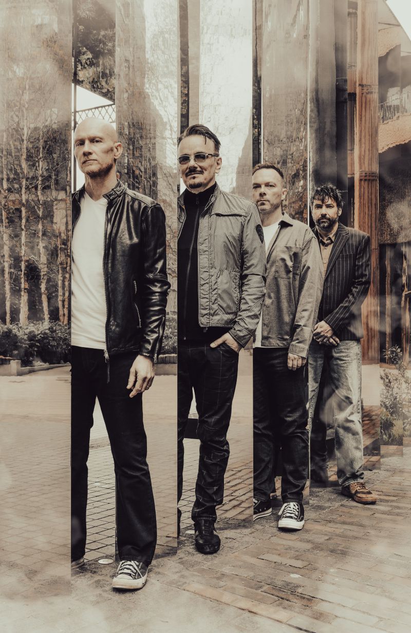 The Pineapple Thief
